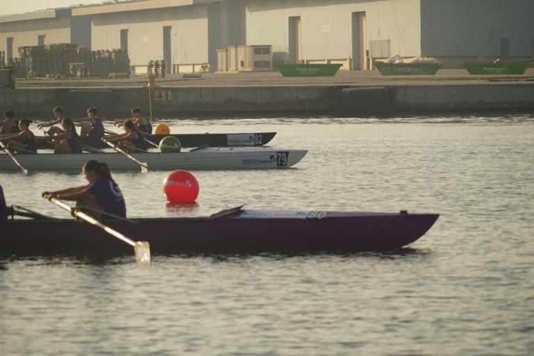 Regata gandia Yolas