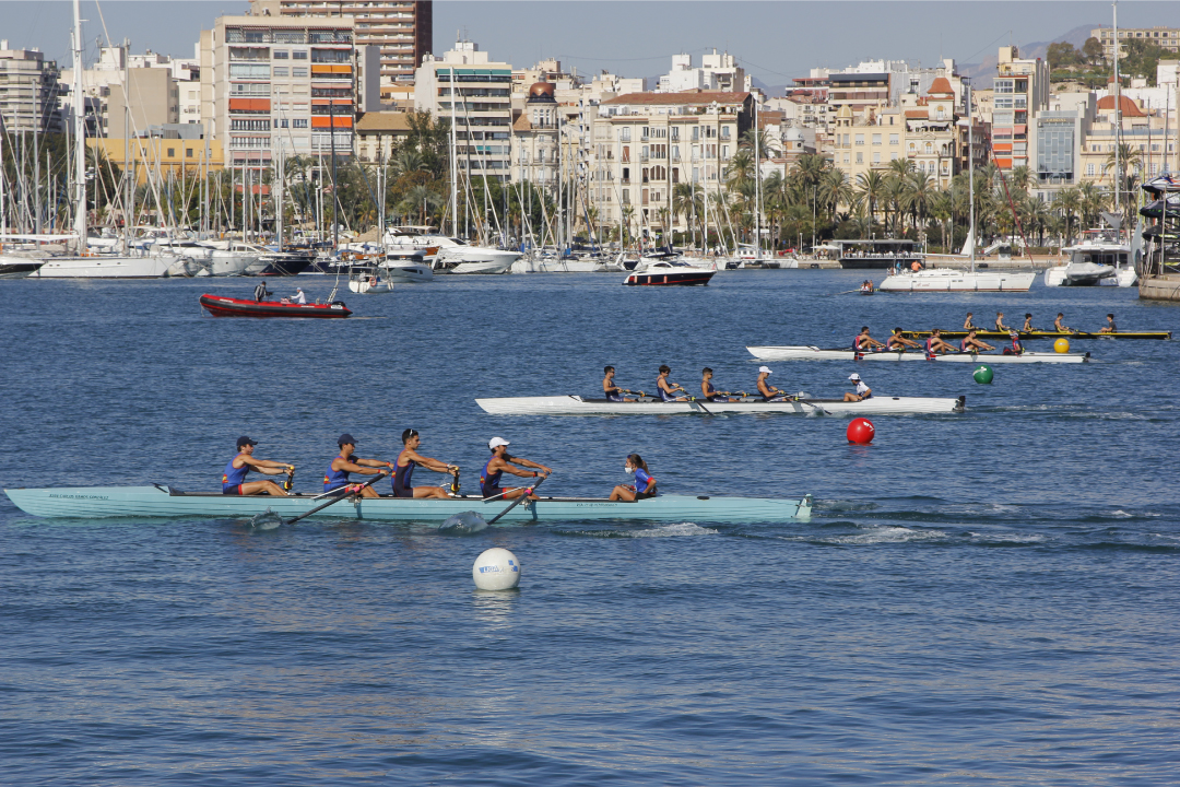 Regata Gandia Yolas